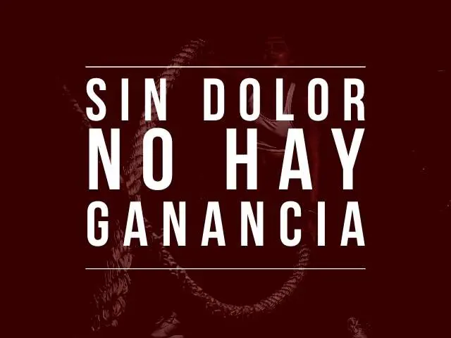 Frases cortas 4