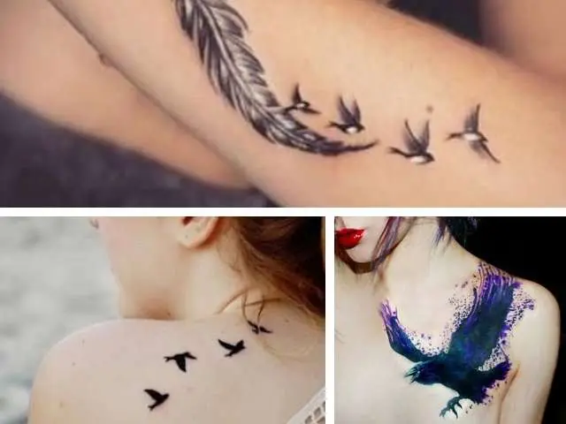 tatuajes para mujer - ave