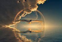 animales espirituales